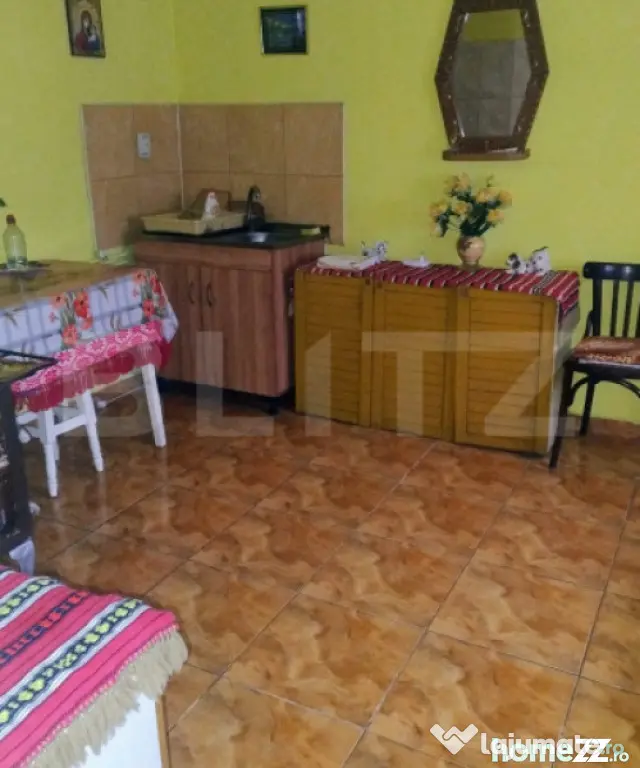 Oportunitate investițională – Casă cu teren extins in