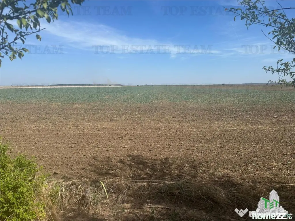 Teren intravilan construibil, Branesti-Ilfov, 5000 mp, idea