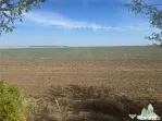 Teren intravilan construibil, Branesti-Ilfov, 5000 mp, idea
