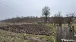 Teren 2.038 mp + Casă 50 mp de vânzare – Sat Luncsoru, C