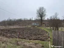 Teren 2.038 mp + Casă 50 mp de vânzare – Sat Luncsoru, C