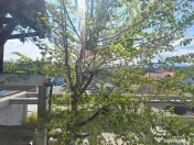 Descoperă un studio exclusivist la vila pe Calea Turniș... 