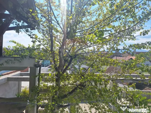 Descoperă un studio exclusivist la vila pe Calea Turniș...