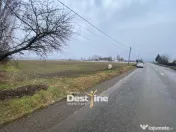 Teren de vanzare Girov- Doina 7200MP 140000