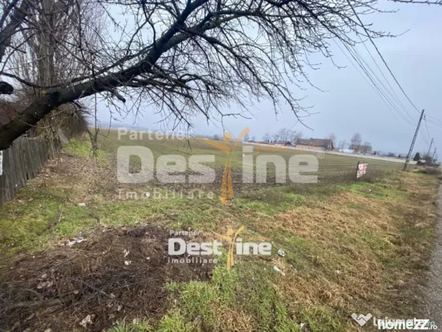 Teren de vanzare Girov- Doina 7200MP 139.999