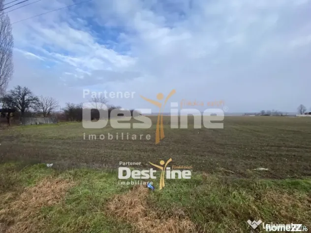 Teren de vanzare Girov- Doina 7200MP 139.999