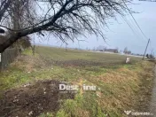 Teren de vanzare Girov- Doina 7200MP 140000