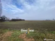 Teren de vanzare Girov- Doina 7200MP 140000