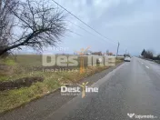 Teren de vanzare Girov- Doina 7200MP 140000 