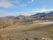 Comision 0%| Teren intravilan Sohodol 2495 mp| Apa si curent 