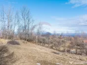 Comision 0%| Teren intravilan Sohodol 2495 mp| Apa si curent 