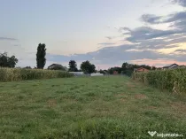 Teren intravilan 1263 mp - direct proprietar