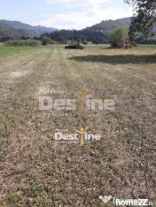 Teren de vanzare Pangarati 58.000 Euro 4488mp Intravilan 