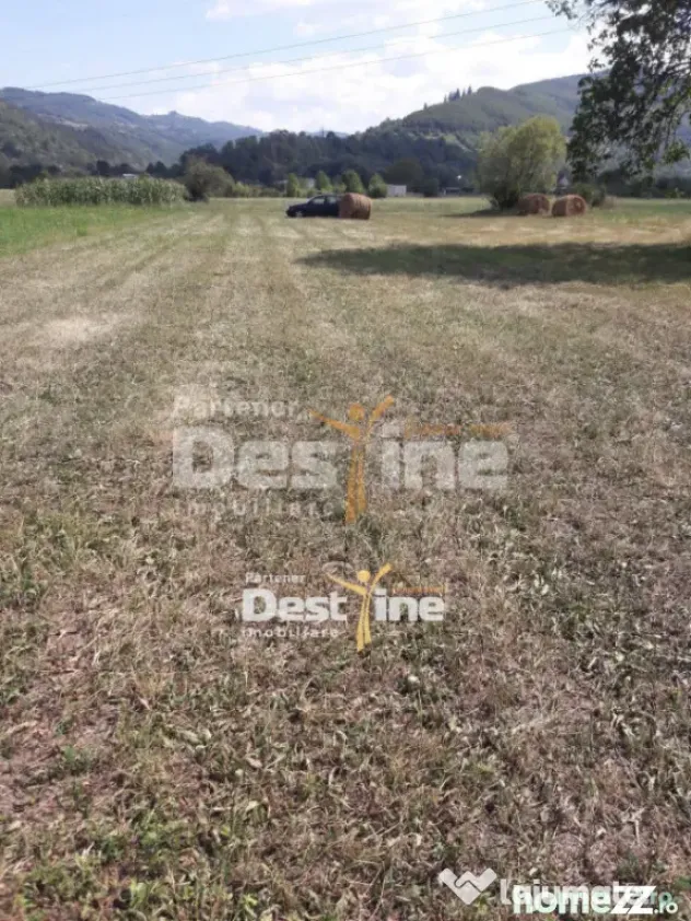 Teren de vanzare Pangarati 58.000 Euro 4488mp Intravilan