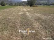 Teren de vanzare Pangarati 58.500 Euro 4488mp Intravilan