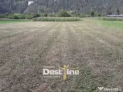 Teren de vanzare Pangarati 58.500 Euro 4488mp Intravilan