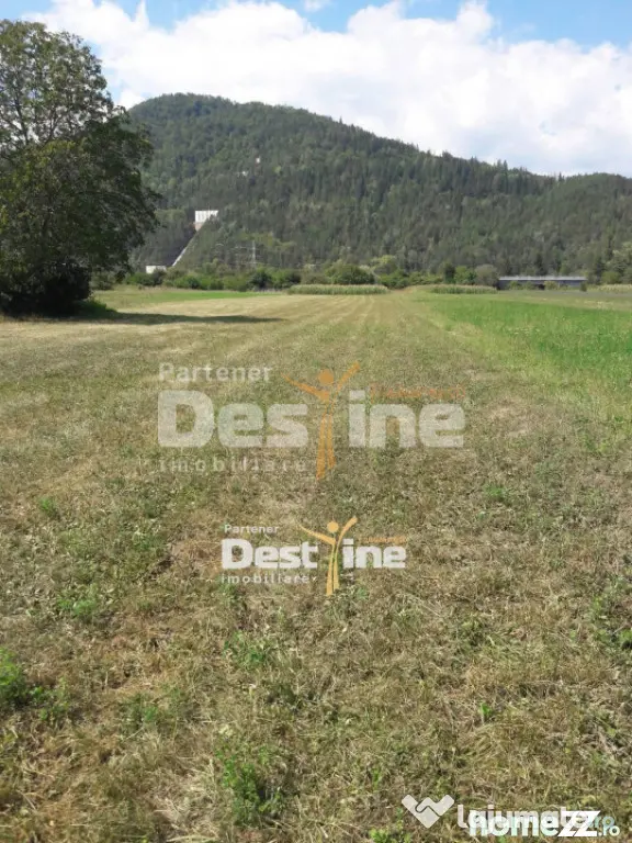 Teren de vanzare Pangarati 58.000 Euro 4488mp Intravilan