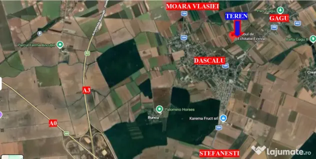 Teren Dascalu, 10.000 mp