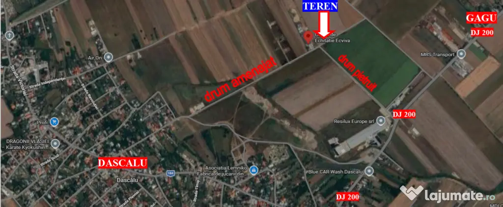Teren Dascalu, 10.000 mp