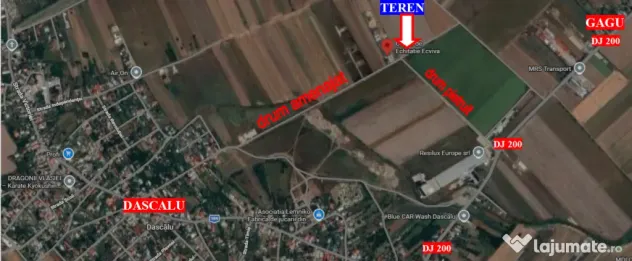 Teren Dascalu, 10.000 mp