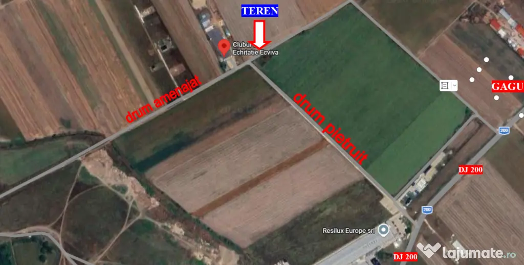 Teren Dascalu, 10.000 mp