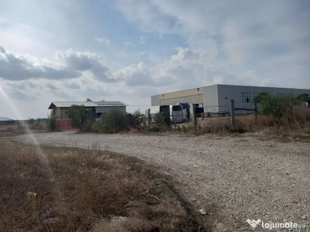 Teren Dascalu, 10.000 mp