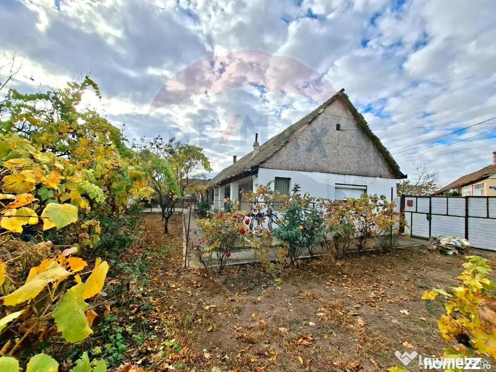 Casa veche cu teren 929 mp- oportunitate in Vladimirescu-... - Vladimirescu (Arad)