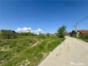 Teren intravilan Cristian 1000 mp 