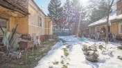 Teren de Vis în Tărlungeni cu Căsuță din Lemn – Li...