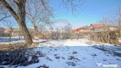 Teren de Vis în Tărlungeni cu Căsuță din Lemn – Li...