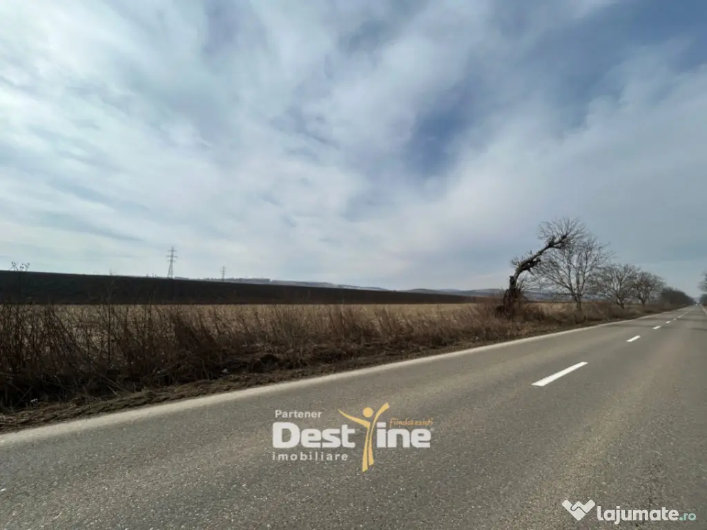 Teren de vanzare Caciulesti 10.000 Euro 1300mp