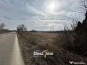 Teren de vanzare Caciulesti 10.000 Euro 1300mp