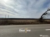 Teren de vanzare Caciulesti 10.000 Euro 1300mp