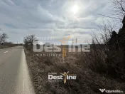 Teren de vanzare Caciulesti 10.000 Euro 1300mp 
