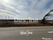 Teren de vanzare Caciulesti 10.000 Euro 1300mp 