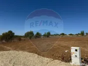 Teren construcție casă P+E+M – 528 mp, Peris, Ilfov, ... 