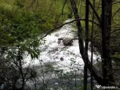 Proprietate rară în inima Retezatului – 5.700 mp teren intravilan 