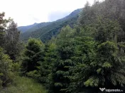 Proprietate rară în inima Retezatului – 5.700 mp teren intravilan 