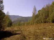 Proprietate rară în inima Retezatului – 5.700 mp teren intravilan 