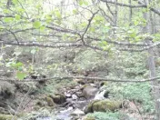 Proprietate rară în inima Retezatului – 5.700 mp teren intravilan 