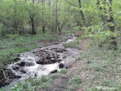 Proprietate rară în inima Retezatului – 5.700 mp teren intravilan 