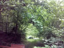 Proprietate rară în inima Retezatului – 5.700 mp teren intravilan