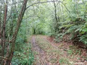 Proprietate rară în inima Retezatului – 5.700 mp teren intravilan 