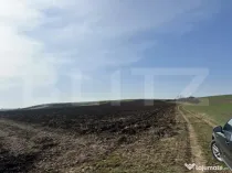 TEREN ARABIL EXTRAVILAN 15.000 mp SANTUHALM