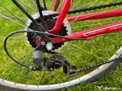 Bicicleta dama Neuzer