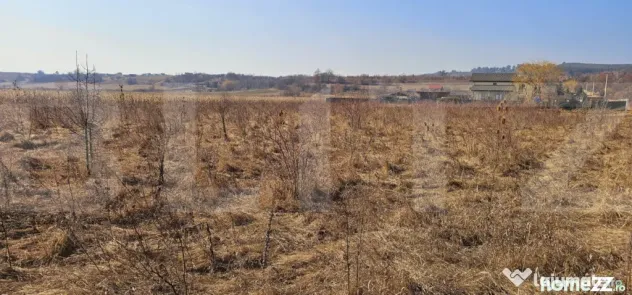 Teren intravilan 3405 mp – PUZ aprobat, front 60 m - Sancraiu (Covasna)