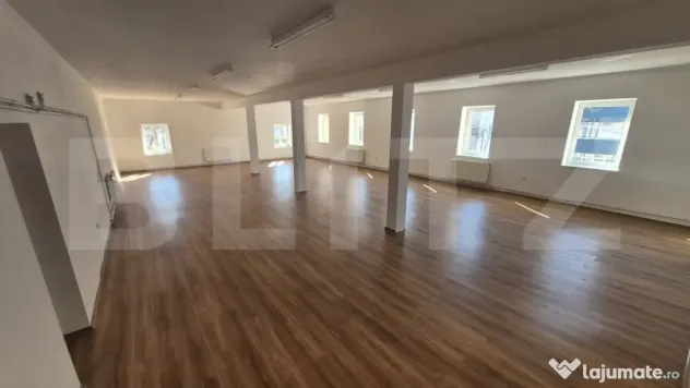 Spatii comerciale de inchiriat, 773 mp, zona Lucian Blaga