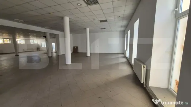 Spatii comerciale de inchiriat, 773 mp, zona Lucian Blaga