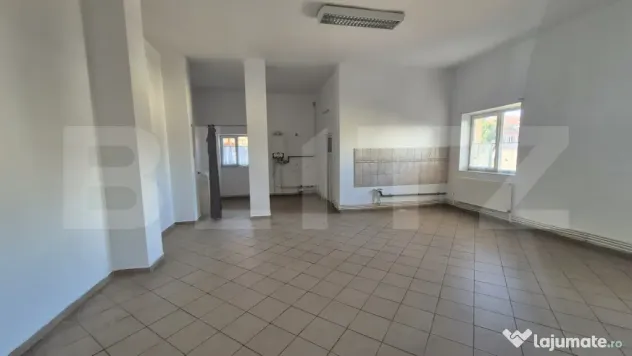 Spatii comerciale de inchiriat, 773 mp, zona Lucian Blaga