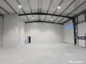 Hala/Showroom/Birouri de inchiriat,str.Ogorului/cart Grigorescu 